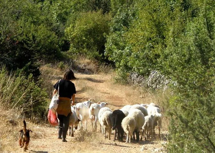 Vikendica Oaza With Heated Pool Primosten